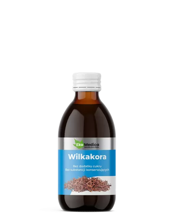 Wilkakora Suplement diety