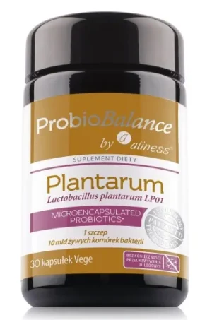 Palantrum Lactobacillus plantarum LP01