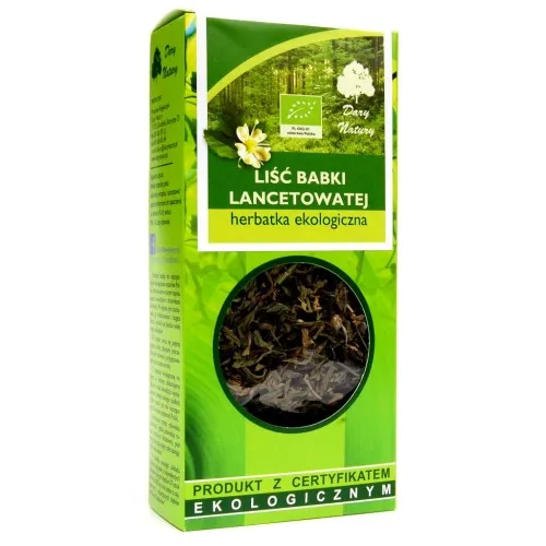 Babka lancetowata liść EKO