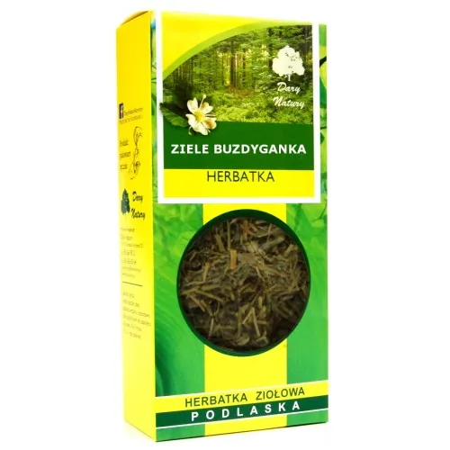 Buzdyganek ziele