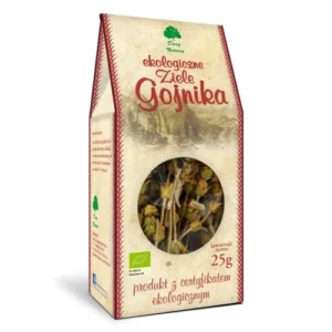 Gojnik ziele pęczek EKO