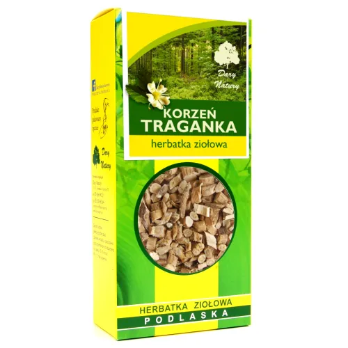 Traganek korzeń