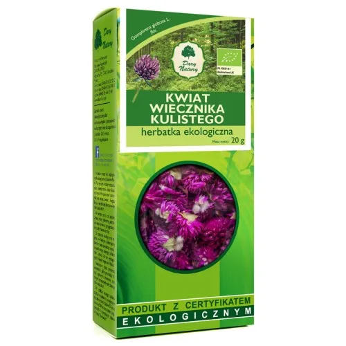 Wiecznik kulisty kwiat EKO