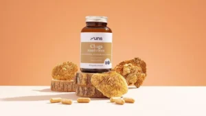 CHAGA MUSHROOM