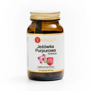 Jeżówka Purpurowa