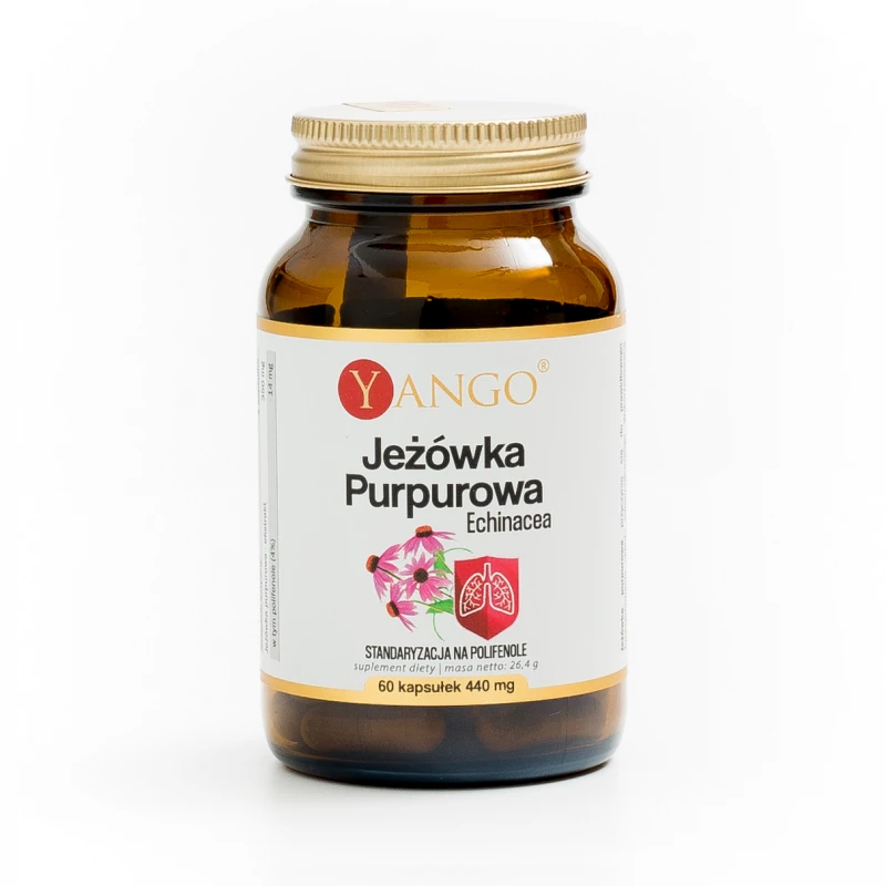 Jeżówka Purpurowa