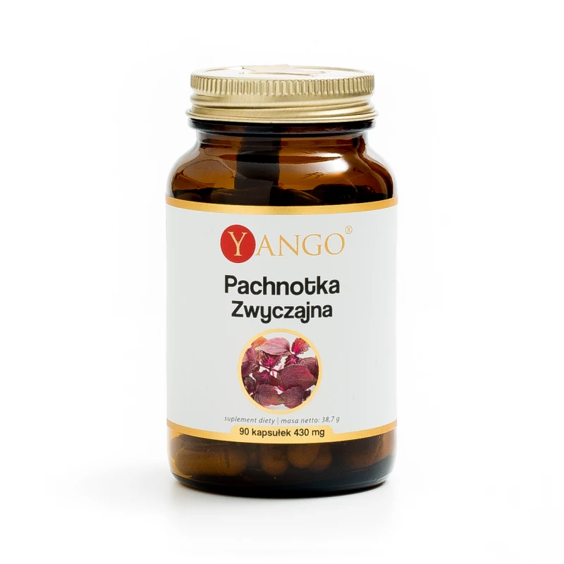 Pachnotka zwyczajna